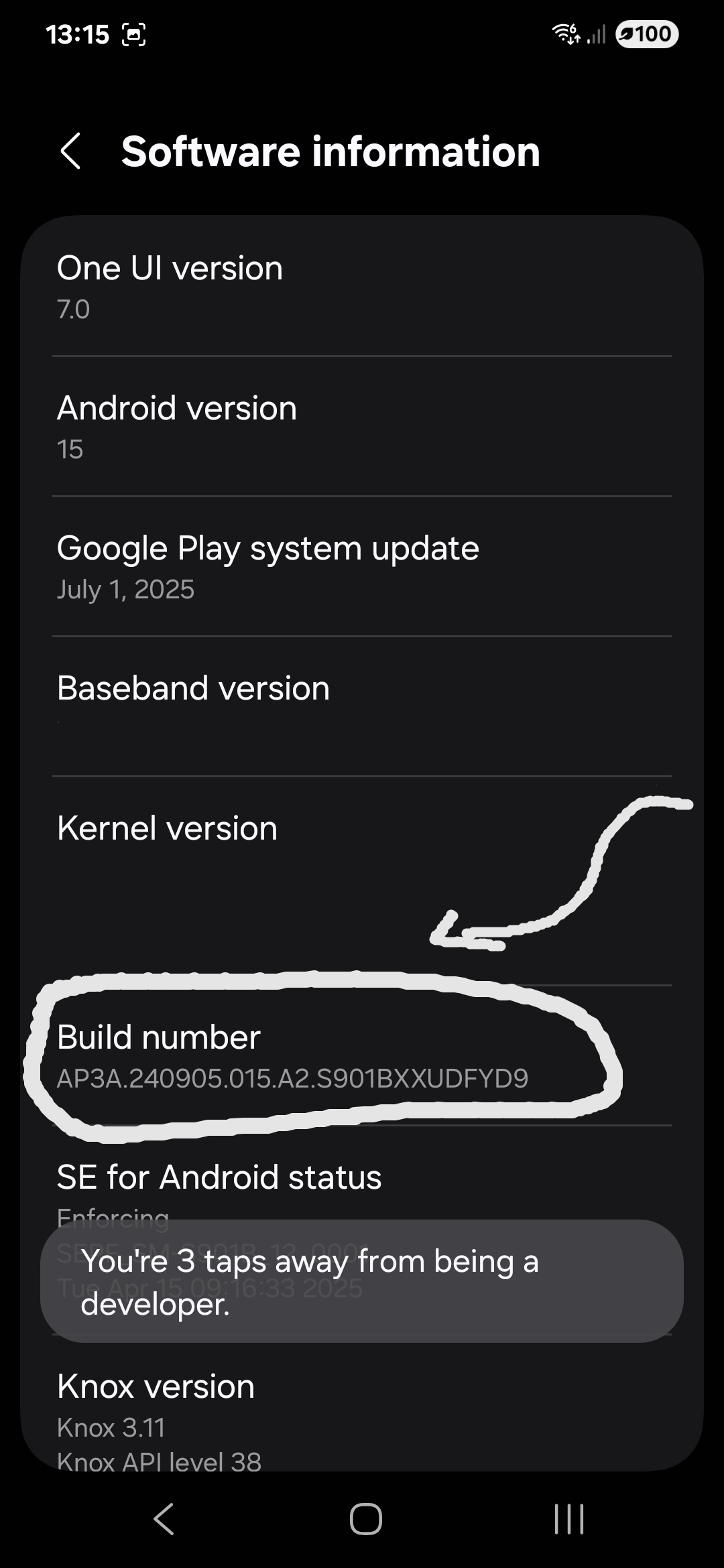 Setup Dev Options Screen 3